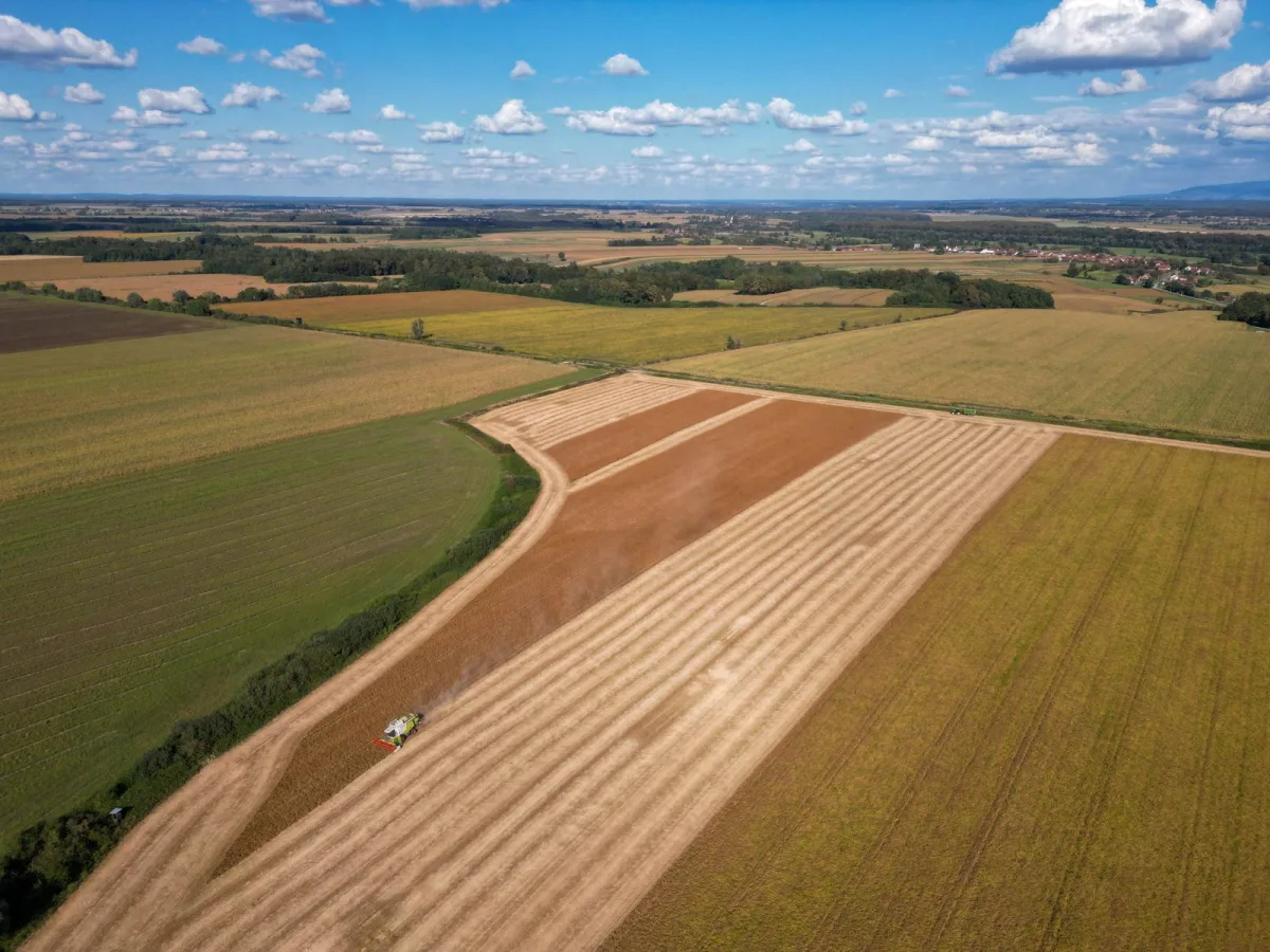 Aerial view of clean, neatly divided green land parcels under a clear blue sky